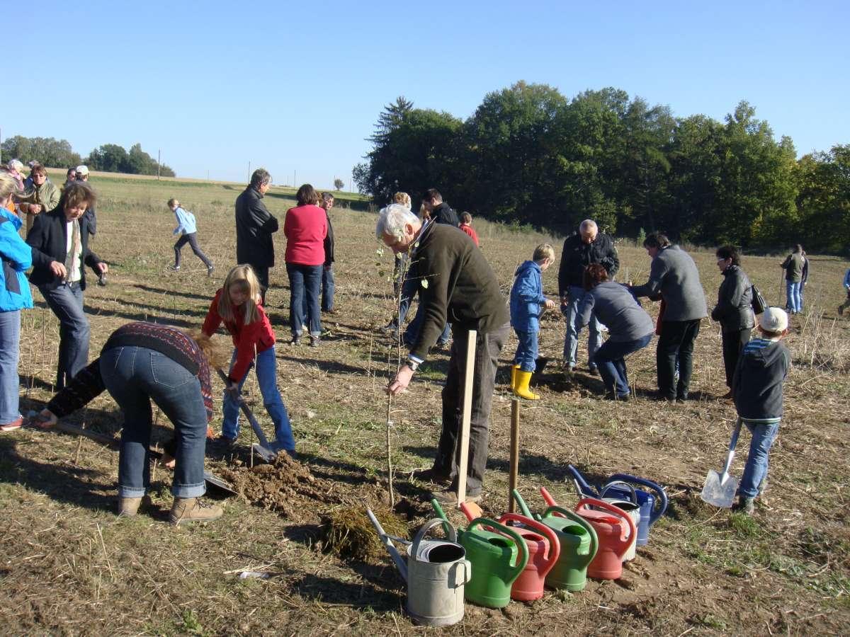 101015 25a OG Pettendorf 8 -1200